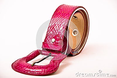 Snake skin belt Stock Photo