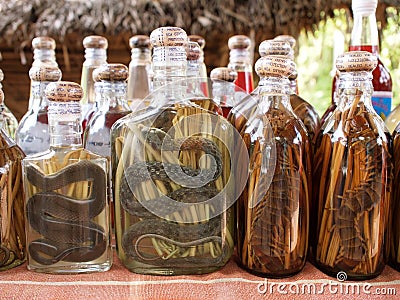 Snake liquor Stock Photo