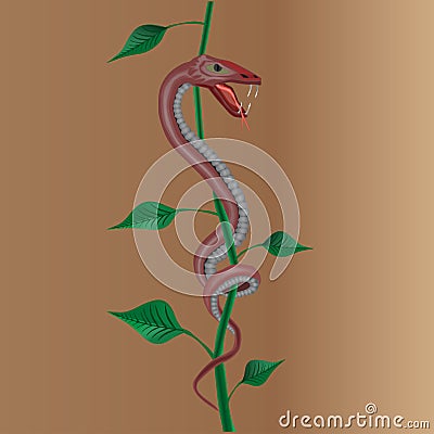 Snake with plant Vector Illustration