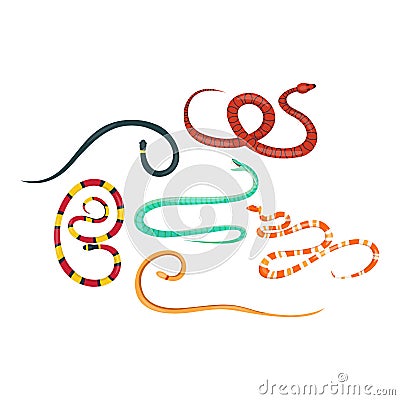 Snake reptile cartoon vector set. Vector Illustration