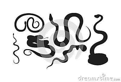 Snake reptile vector Vector Illustration