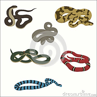 Snake set isolated on white. Vector Illustration