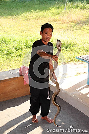 Snake show Editorial Stock Photo