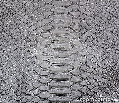 Snake skin background Stock Photo