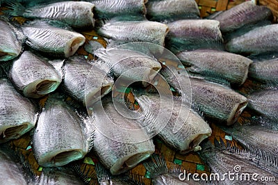 Snake skin gourami or Salid fish in the market. Thailand culture food preservation. Stock Photo