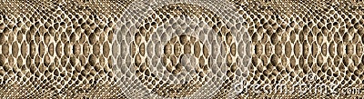 Snake skin pattern texture repeating seamless. Vector. Texture snake. Fashionable print. fashionable and stylish background. Vector Illustration