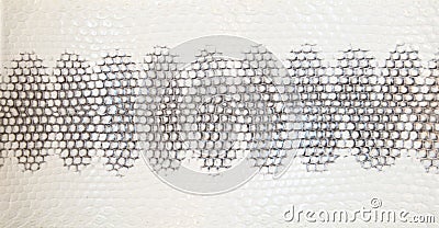 Snake Skin Texture Stock Photo