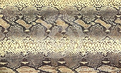 Snake skin texture. Reptile seamless background for design Stock Photo