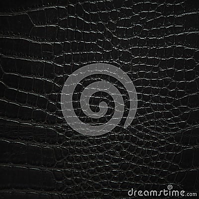 Snake Skin Stock Photo