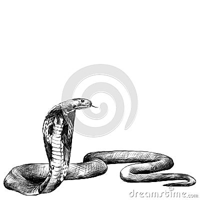 Snake spectacled Cobra crawling Stock Photo