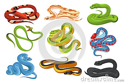 Snakes, tropical serpents, black mamba, python Vector Illustration