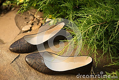 Snakeskin ballet flats, women's shoes on a rock Stock Photo