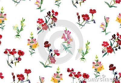 Snapdragon and carnation flowers on white background Cartoon Illustration