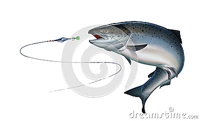 Atlantic salmon or pink salmon attacks fish bait jigs and stakes isolate realistic illustration. Cartoon Illustration