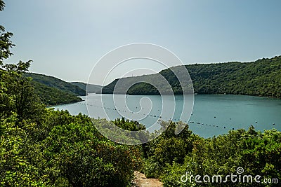 Vrsar - Fjord view through the tree crowns Stock Photo