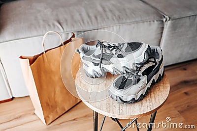 Sneakers on the background of a craft package, home delivery of goods Stock Photo