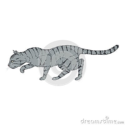 Sneaking Gray Striped Cat Vector Illustration