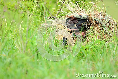 Sniper aiming Stock Photo