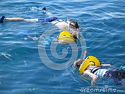 Snorkeling Stock Photo