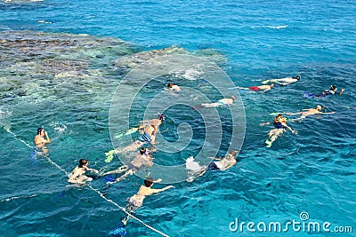 Snorkeling on coral reef Editorial Stock Photo