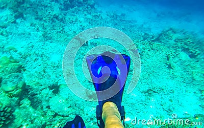 Snorkeling underwater views fish Corals turquoise water Rasdhoo island Maldives Stock Photo