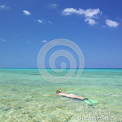 snorkeling, Maria la Gorda, Pinar del Rio Province, Cuba Stock Photo