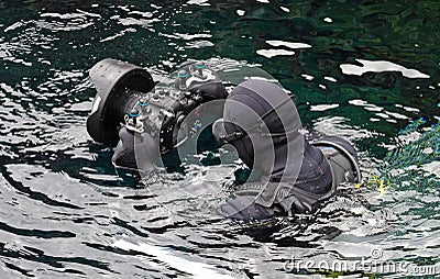 Snorkeling at Silfra rift, Iceland Stock Photo