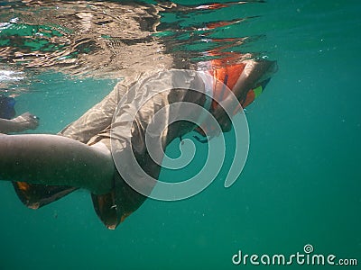 Snorkeling Editorial Stock Photo