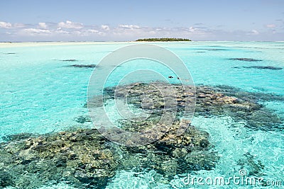 Couple snorkeling in turquoise clear water with coral reefs, South Pacific Ocean with Island, Aitutaki, Cook Islands Stock Photo