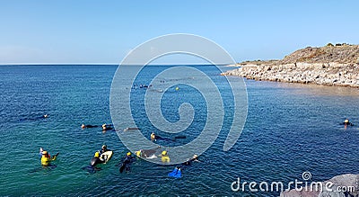 Snorkelling Tours, Whyalla Cuttlefish Migration Editorial Stock Photo