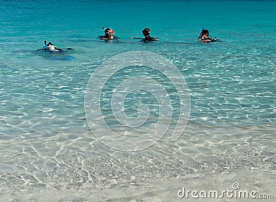 Snorkling Stock Photo