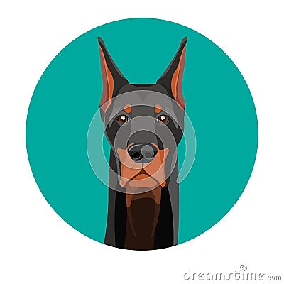 Snout of noble doberman with dark smooth fur Vector Illustration