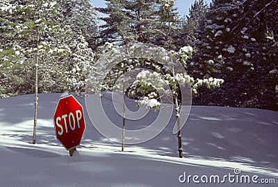 Snow-buried Stop Sign #2 Stock Photo