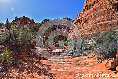 Snow Canyon State Park Red Sands hiking trail Cliffs National Conservation Area Wilderness St George, Utah, United States. Stock Photo