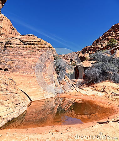 Snow Canyon State Park Red Sands views from hiking trail Cliffs National Conservation Area Wilderness St George, Utah USA Stock Photo