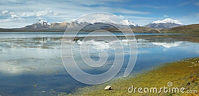 Snow capped high mountains reflected in Lake Chungara Stock Photo