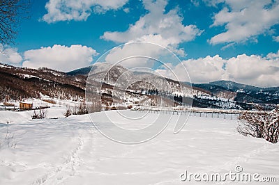 Snow-capped wooden fence in mountains Carpathians Ukraine. On background Christmas tree in forest. Winter nature. Landscape. Top Stock Photo