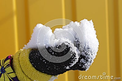 Snow in the children`s hand Stock Photo