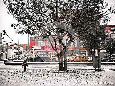 A snow city Editorial Stock Photo