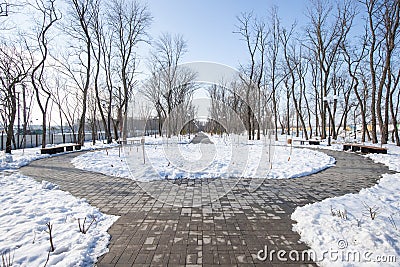 Snow-cleared alleys in a winter park with trees Stock Photo