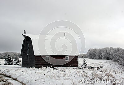 Snow covered barn in rural Manitoba Stock Photo