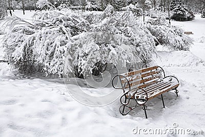 Snow-covered bench in city park at winter day Stock Photo