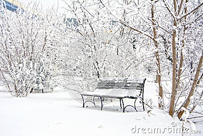 Snow covered bench in a deserted park. Winter. Russia Stock Photo