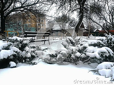 Cold thoughts in a winter park Stock Photo