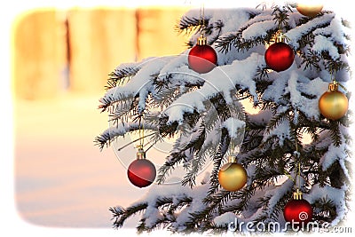 Snow Covered Christmas Tree Stock Photo