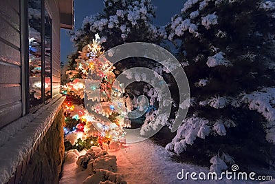 This Snow Covered Christmas Tree stands out brightly against the dark blue tones of late evening light in this winter holiday sce Stock Photo