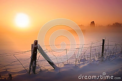 Snow covered field in sunset Stock Photo