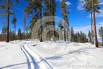 Snow covered mountains during snowmobile ride with blue skies Stock Photo