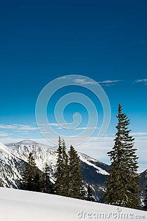 Snow covered mountaintops and trees Stock Photo