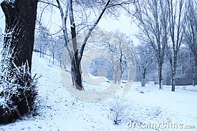 The snow-covered park is very beautiful with trees and bushes covered in snow. Stock Photo